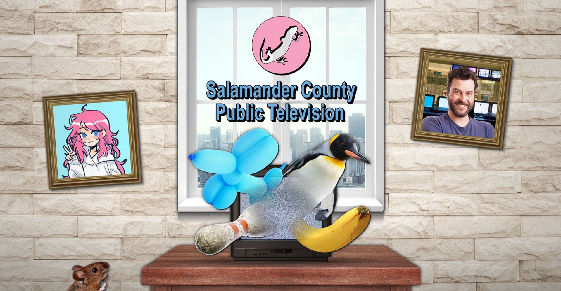 Salamander County Public Television